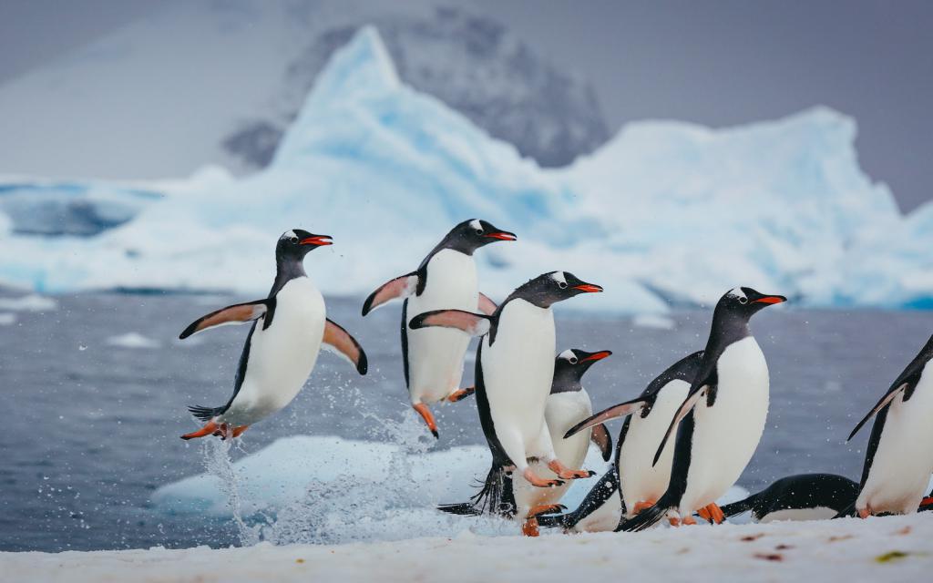 les zones naturelles spécialement protégées sont classées