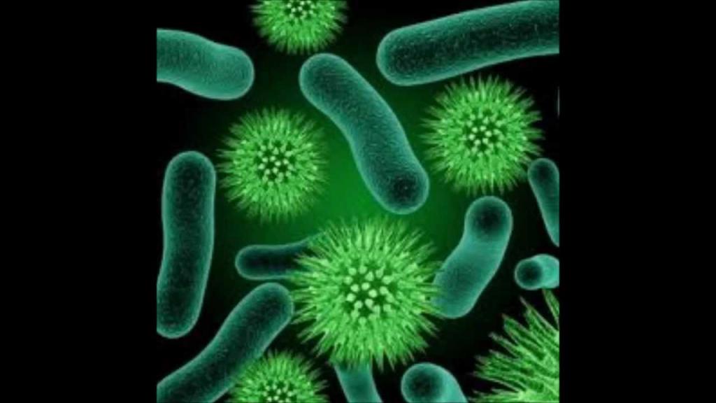 Microorganismes nuisibles