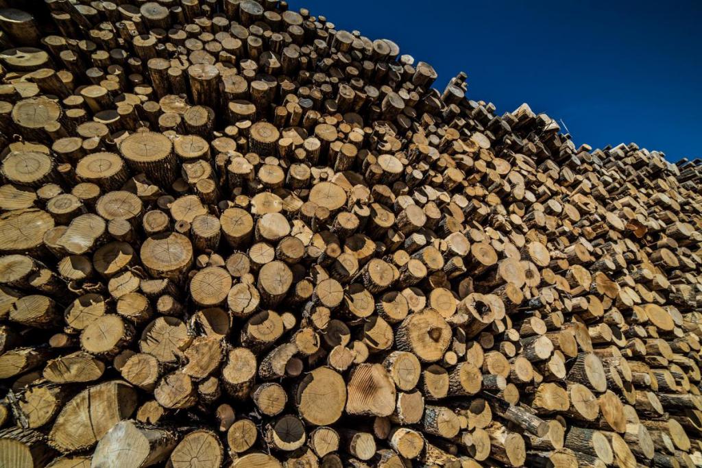 Prosecutors consider environmental crimes