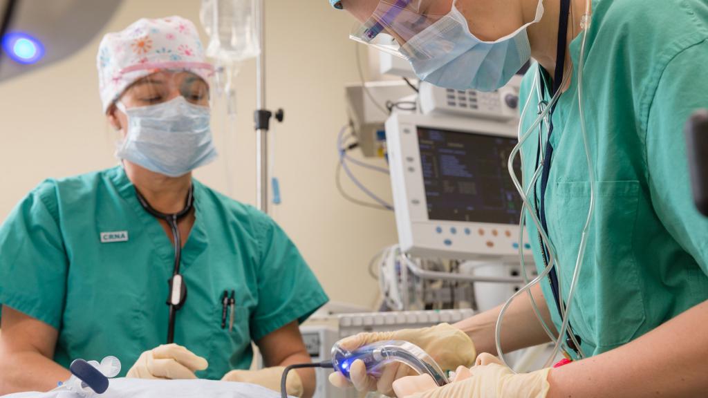 Operating nurse