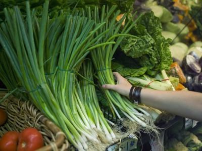 faire pousser des oignons sur des herbes