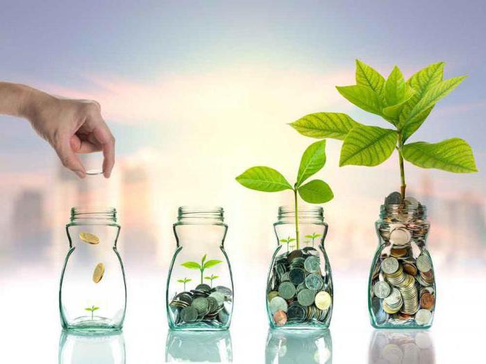  concept of investment and investment activity