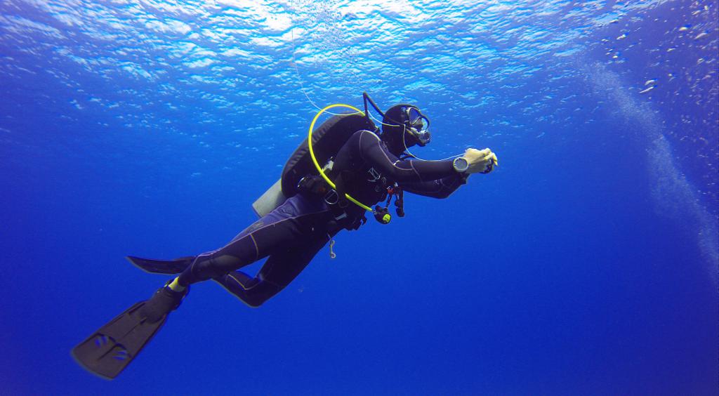 Diver on a mission