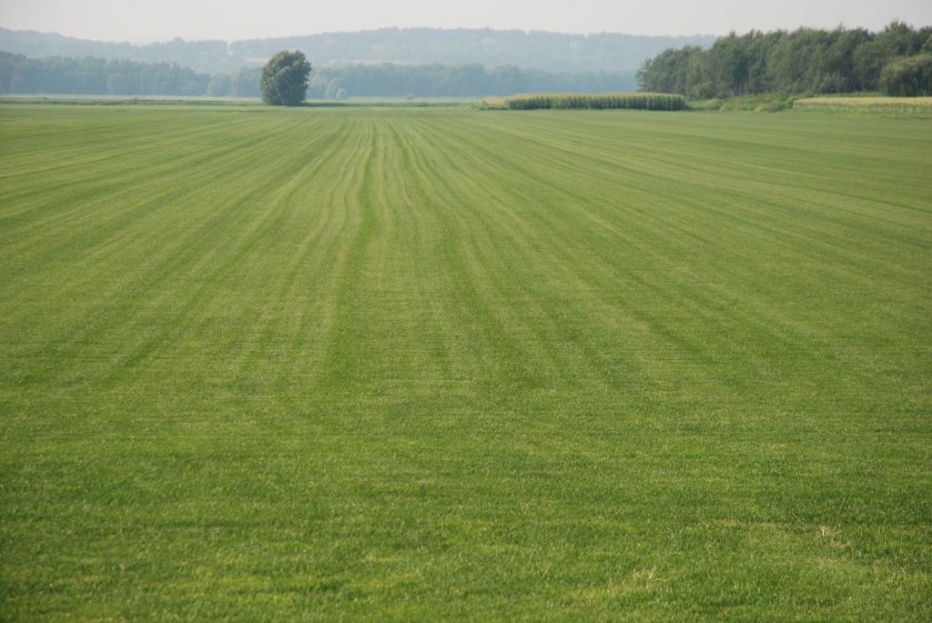 Land plot