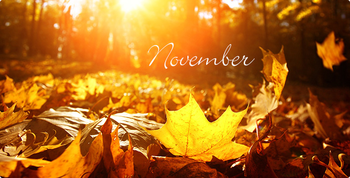 Mois de novembre