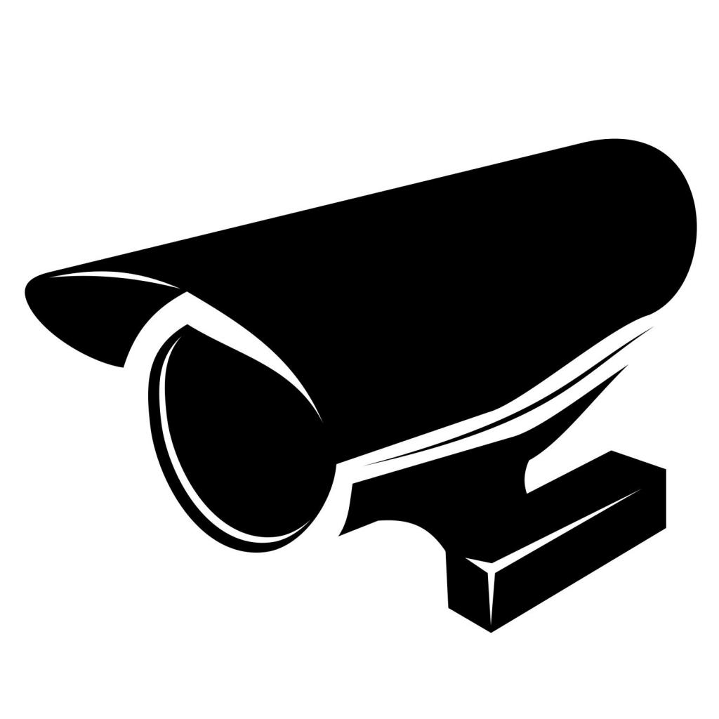 Jardins d'enfants sous surveillance