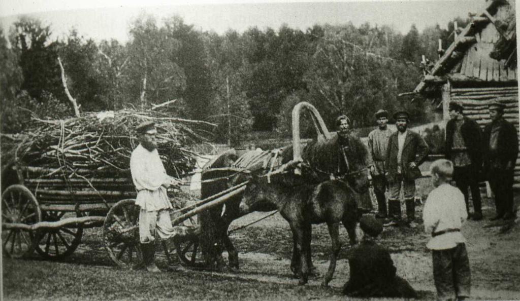 Peasant society